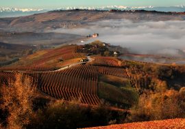 Inno all’autunno nelle cantine di Barolo: il grande vino italiano