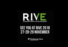 Expo RIVE in Pordenone